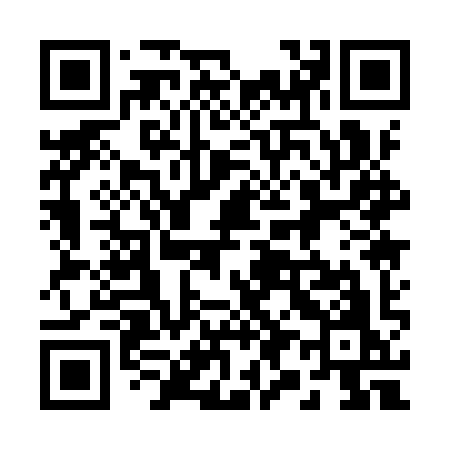 QR code for 2919YO