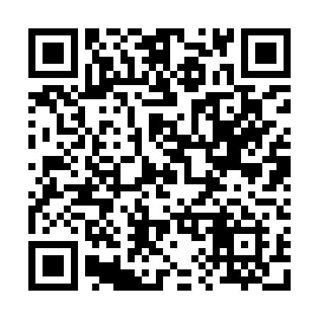 QR code for 2929TI