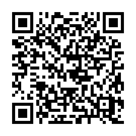 QR code for 2939XX