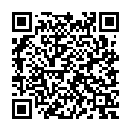 QR code for 2941OR