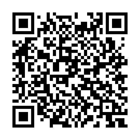 QR code for 2953PA
