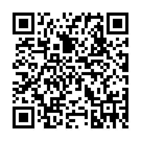 QR code for 2955CQ