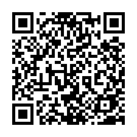 QR code for 2955IE