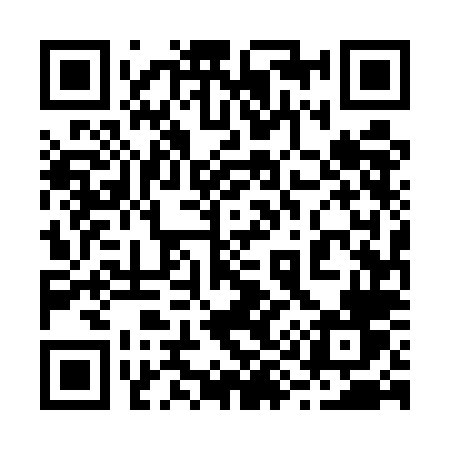 QR code for 2955LV