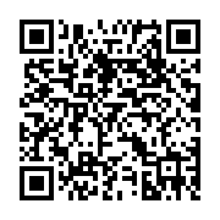 QR code for 2955PZ