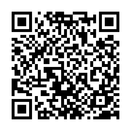 QR code for 2955UT