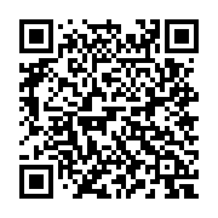 QR code for 2955VD