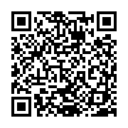 QR code for 2955VI