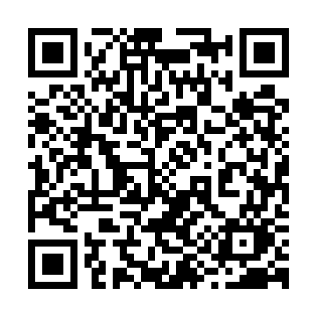 QR code for 2955WO