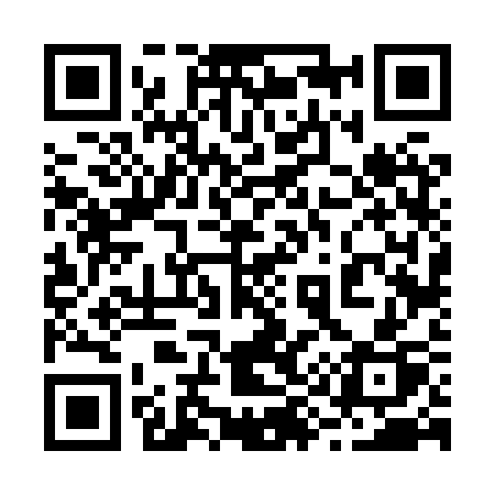 QR code for 2968SP