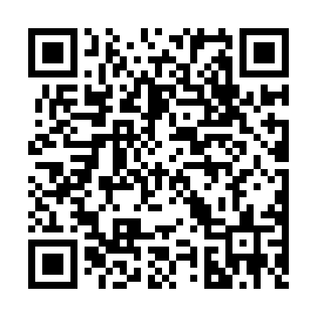 QR code for 2969MS