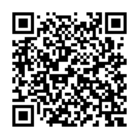 QR code for 2971HO