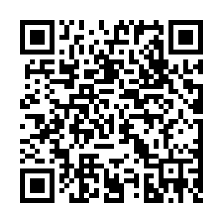 QR code for 2971PT