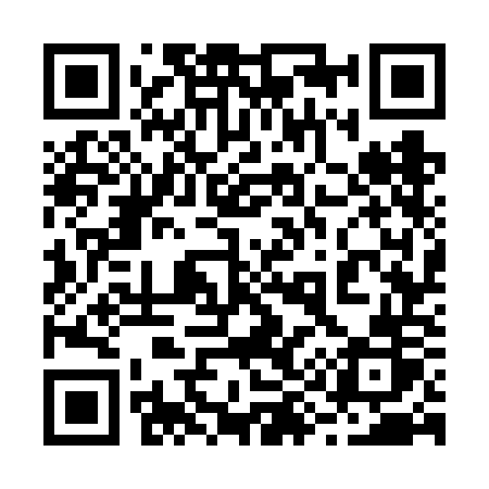 QR code for 2976OR