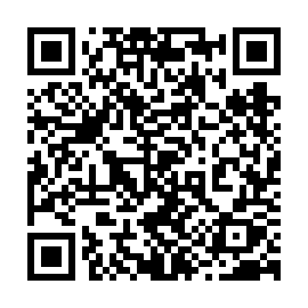 QR code for 2976OX