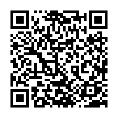 QR code for 2982SP