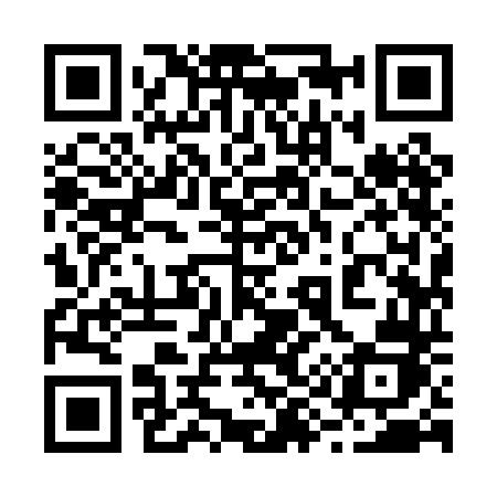 QR code for 2990DJ