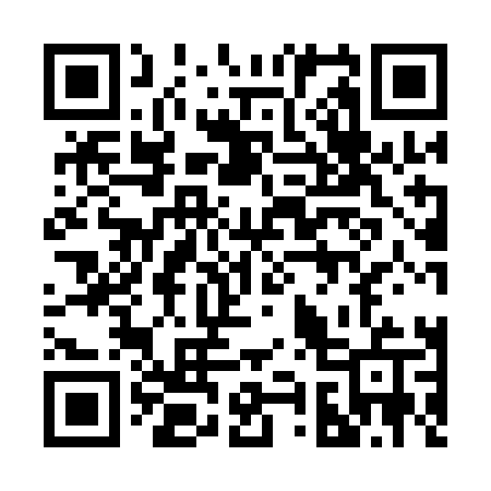 QR code for 2991LU