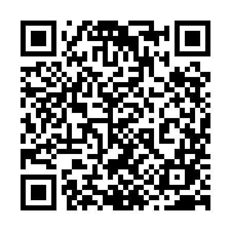 QR code for 2991ML