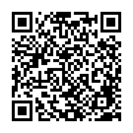QR code for 2991NF