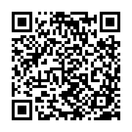 QR code for 2993DO