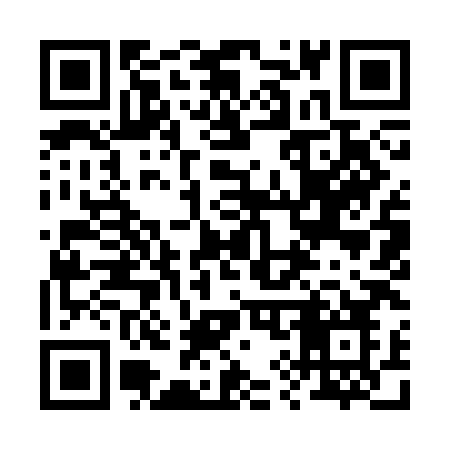 QR code for 2993HO