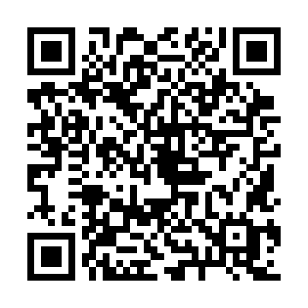 QR code for 2993LG