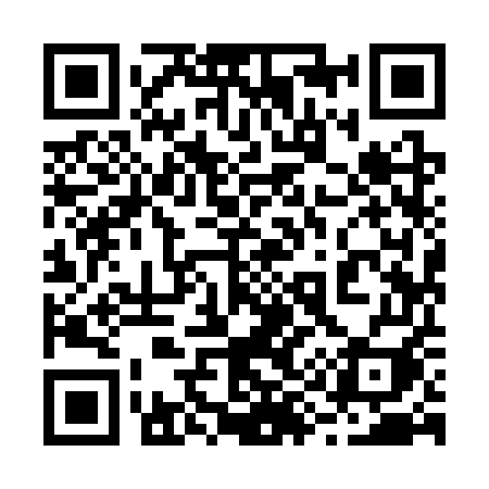 QR code for 2993UI