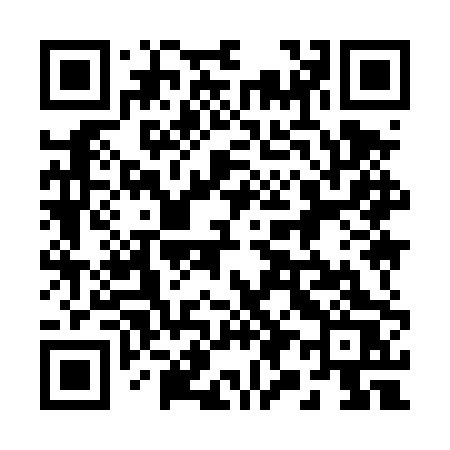 QR code for 2994PS