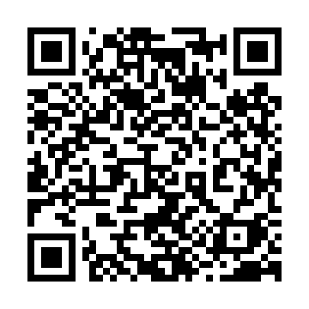 QR code for 2994SI