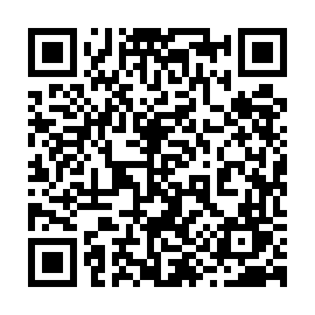 QR code for 2995FT