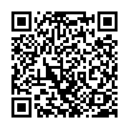 QR code for 2995SX