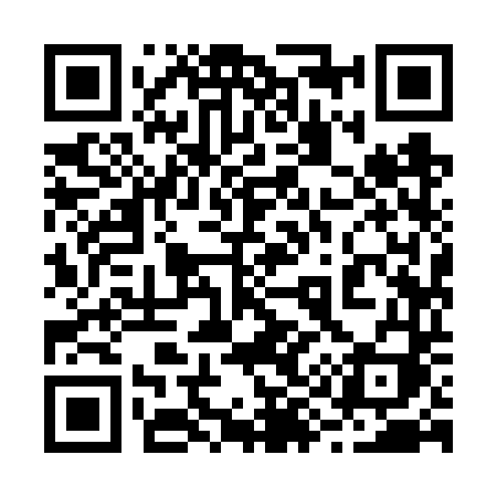 QR code for 2996TI