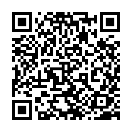 QR code for 2999HX