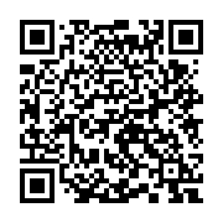 QR code for 3006SI