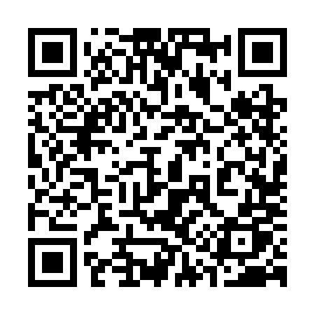 QR code for 3163MP