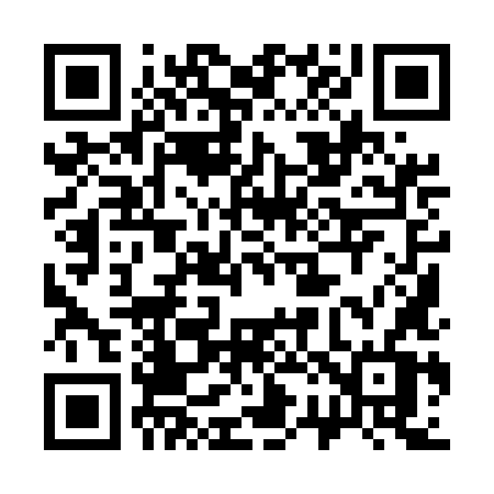 QR code for 3295LV