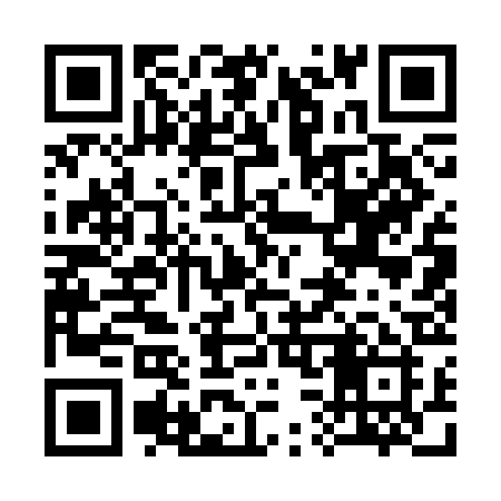 QR code for 3313BI