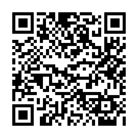 QR code for 3337QT