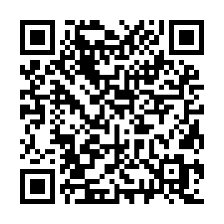 QR code for 3339NM