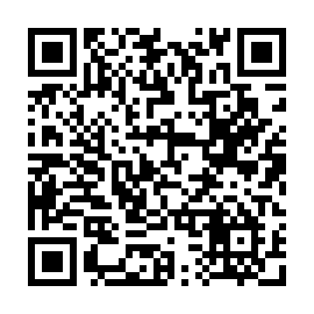 QR code for 3385PM