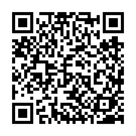 QR code for 3386QK