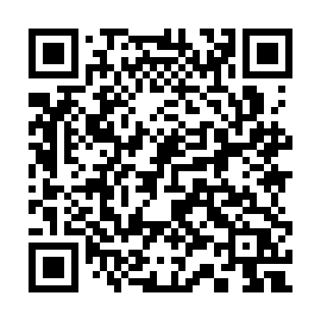 QR code for 3393DP