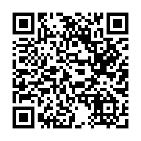 QR code for 3449IM