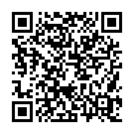 QR code for 3481OG