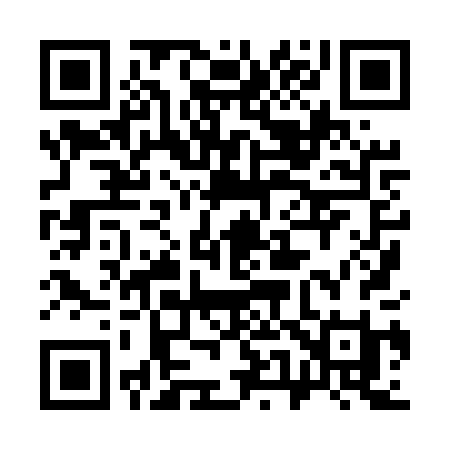 QR code for 3585PI