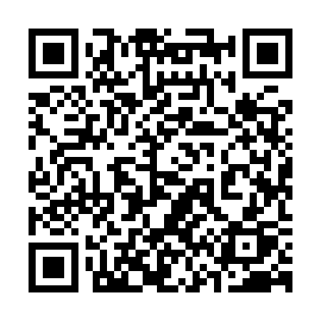 QR code for 3699SP