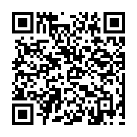 QR code for 3733DM