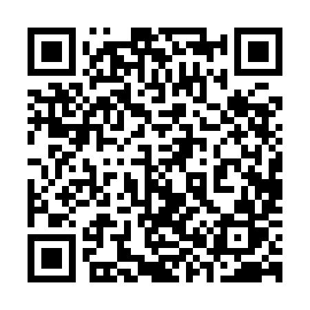 QR code for 3809IR