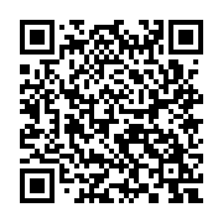 QR code for 3811ZO